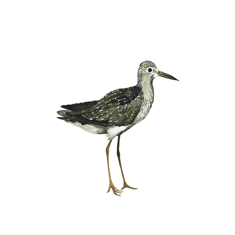 Oiseau de mer III, H 18 po x l 12 po