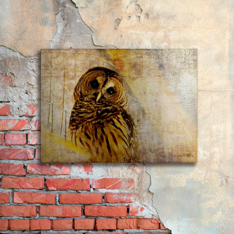 « hibou » par lois bryan, impression sur métal