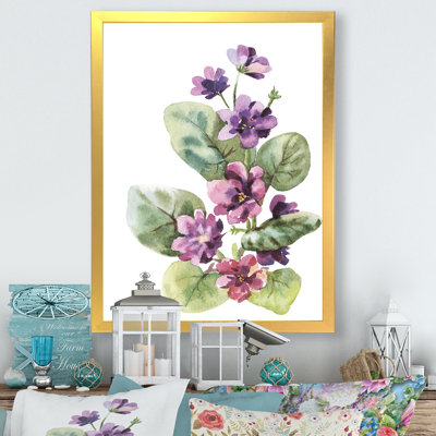 Viola sauvage - fleurs mauves