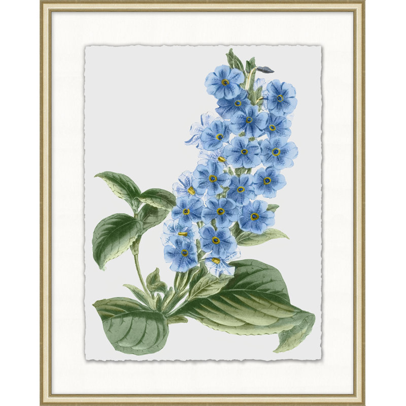 Floral Study 4 Print