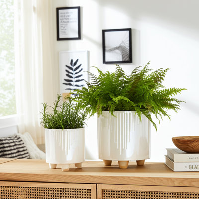 Ensemble de pots à fleurs en céramique Aedin