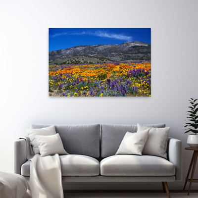 Champ de coquelicots en fleurs, montagnes éloignées, Californie, États-Unis Art coloré de coquelicot contemporain abstrait coloré