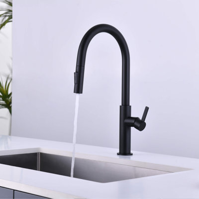 Robinet de cuisine à poignée simple Novo