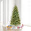 Arbre de Noël pin vert-1994330814-1983619731