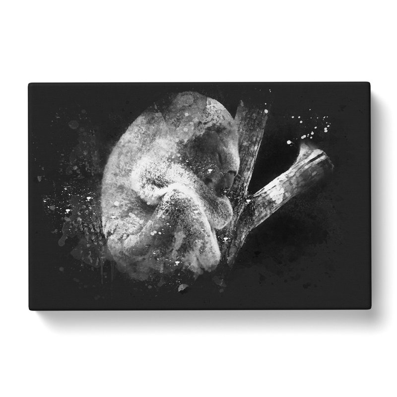 Koala Bear Resting in a Tree - Wrapped Canvas, 50cm H x 76cm W x 3cm D