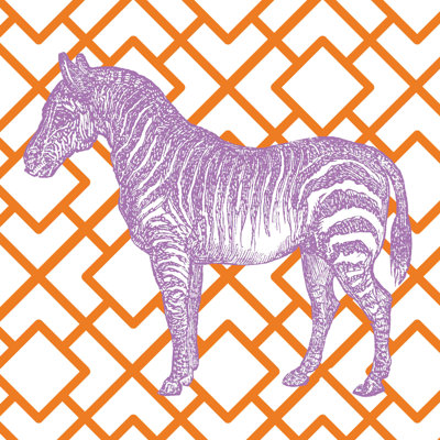 Brillant zébré mauve / orange