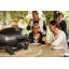 Napoleon TravelQ PRO285 Portable Natural Gas BBQ/Grill, Black