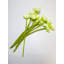 12 pièces de fleurs artificielles fausses fleurs de pavot-262575356