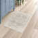 Oriental Indoor Rug