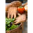 Salad / Serving Tongs
