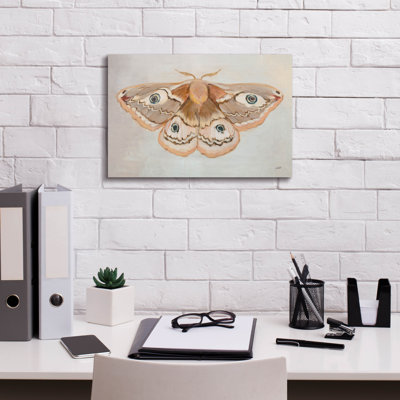 Toile murale «Forest Moth 2» par Julia Purinton par Gracie Oaks, 18 po x 12 po