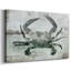 Toile tendue crabe neutre I-Gallery-146863056