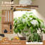 Plant Stand - Set of 9