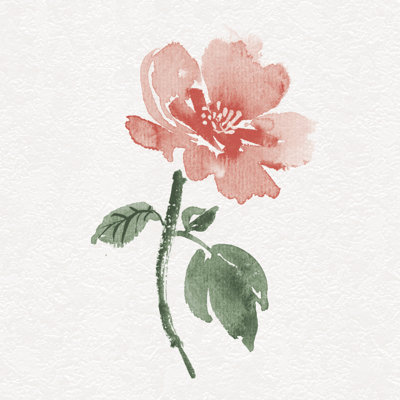 Iancu fleurs avec tige I