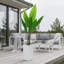 147cm Plant