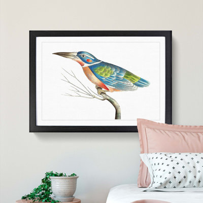 A Blue Kingfisher by George Shaw - Picture Frame Painting