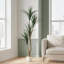 Arbre Dracaena artificiel en pot pour l'intérieur et l'extérieur