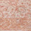 Tapis corail intérieur / extérieur lavable à la machine Chayden ACN1104-100136607