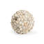 Sculpture coquille de coquillage-68620328