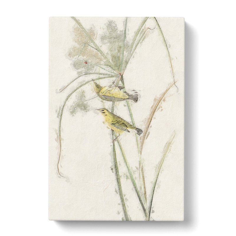 Prairie Warbler Birds by John Audubon - Wrapped Canvas Painting, 50cm H x 35cm W x 3cm D