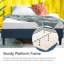Modern Sleek Platform Bed Frame: Durable Support, Stylish Design, And Ultimate Comfort-1840625034
