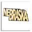  'Nebraska 2' by Art Licencing Studio Acrylic Glass Wall Art, 12" x 12"