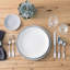 Fortessa Heirloom Dinner Plate-2054700645