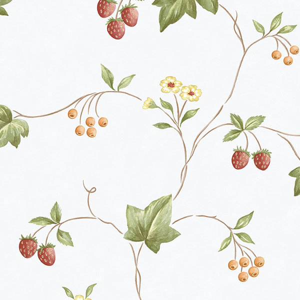 Rouleau de papier peint L 33 pi x l 21 po Strawberries Leaves, Blanc