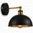 Black Inner Gold