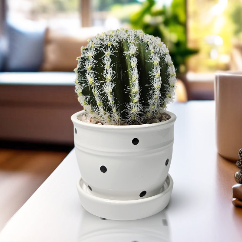 Artificial Cactus Plant In White Ceramic Pot, 5" Mini Barrel Cactus Decor