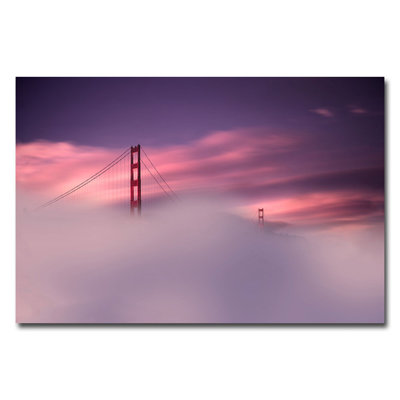 Philippe Sainte-Laudy - Photograph on Canvas
