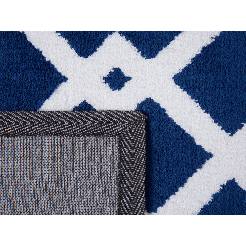 Arnoldsville Chevron Hand Woven Area Rug, Rectangle 160 x 230cm