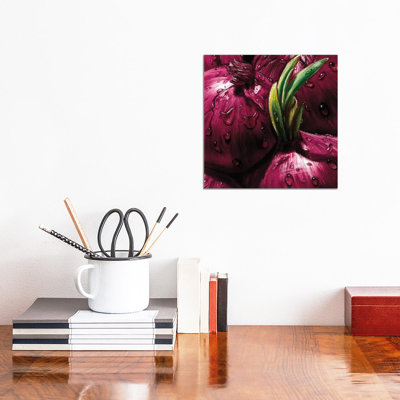 Onions by AlmaCh - Wrapped Canvas Painting