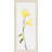 Flower Framed Painting Print on Canvas