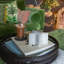 Nicola Spring - Metallic Star Candles - 75 Hours-55856600-125152460