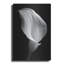 "Lily On Black 02" par Tom Quartermaine-677480993