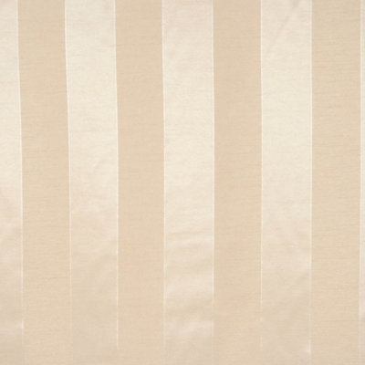 Picasso Fabric