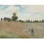 Poppies by Claude Monet - Wrapped Canvas Print-28910924