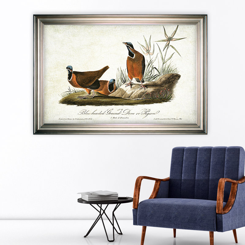 « volière sketch ii », impression, H 18 po x l 27 po x P 1,5 po, Pas de tapis, Toile tendue