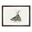 Young Elk in Abstract - Picture Frame Painting Print-55774122-55774124
