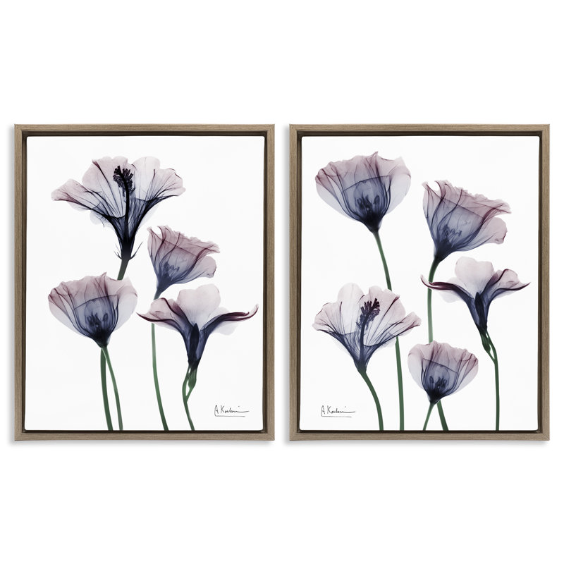 Ensemble de 2 cadres flottants Bounteasant Dusk Lilies, design par Albert Koetsier, H 21 po x l 17 po