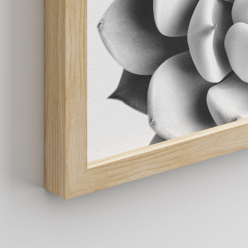 «Succulent Cactus Black and White Rosebud Gros plan» sur papier, H 10 po x l 8 po, Naturel