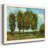 " Tall Trees "-556835762-556835758