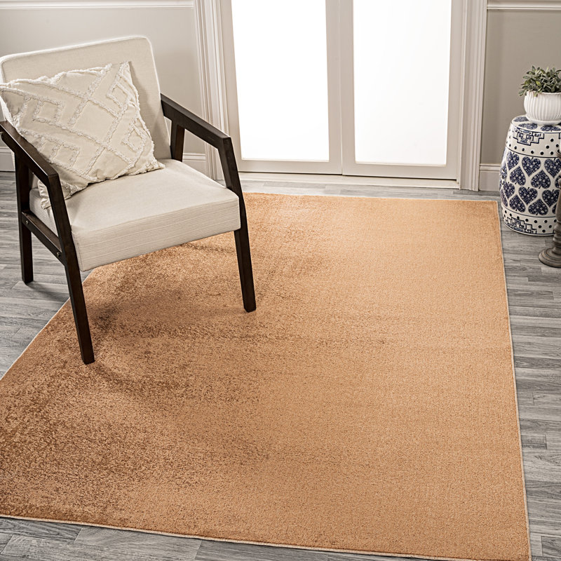 Tapis Terra Twila Classic, Rectangle 5 pi 3 po x 7 pi 7 po