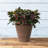 Carrero Pot Planter-579612686-579612692