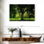 Arbre Harnek-107677810