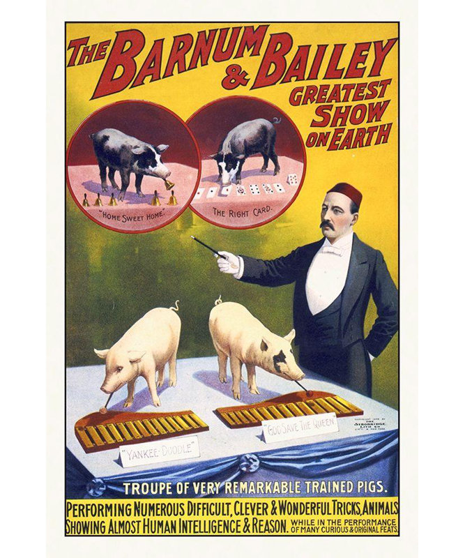 Hollywood Photo Archiv, The Barnum and Bailey Greatest Show On Earth, Troupe, H 24 po x l 17 po