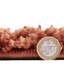 Archuleta area rug Machine Woven Rust-1909794708