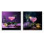 Bloomsbury Booze Cocktail - ensemble de 2 cocktails carrés-564089182-564089181