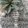Hedlund Geometric Indoor Rug